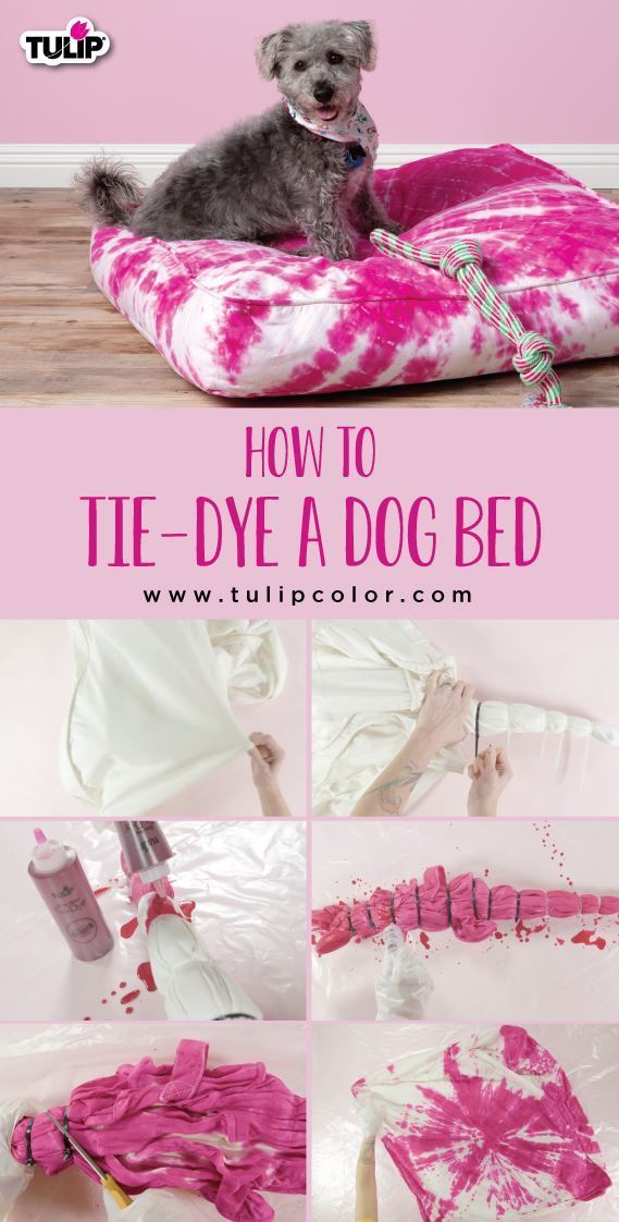 Tulip How To Tie Dye a Dog Bed